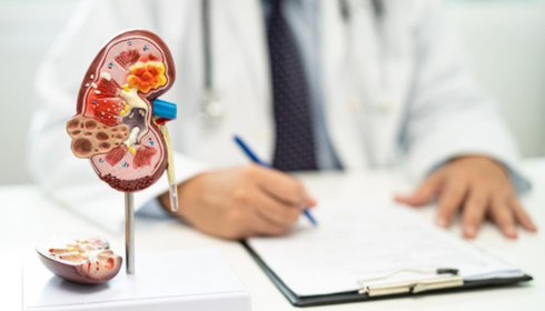 Kidney Stone Treatment, Kidney Stone Hospital In Bangalore