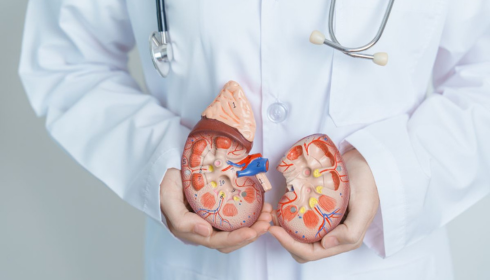 Discover the Best Kidney Transplant Hospital in Bangalore: Where Expertise Meets Compassion