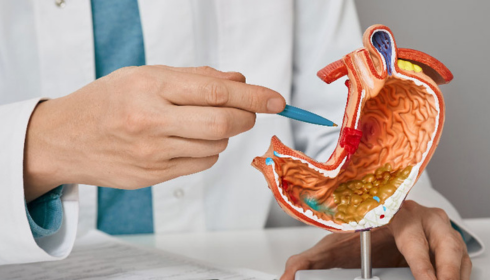 Finding the Right Care: A Guide to Choosing the Best Gastroenterology Hospital in Hyderabad