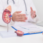 Finding the Right Kidney Specialist: A Practical Guide to Quality Renal Care in Bangalore