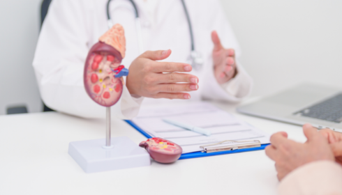 Finding the Right Kidney Specialist: A Practical Guide to Quality Renal Care in Bangalore